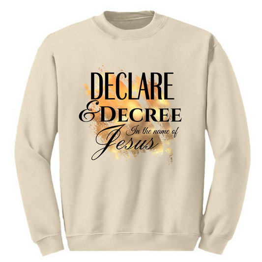 Declare & Decree in the name of Jesus Sweatshirt