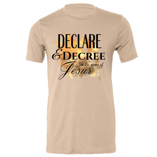 Declare & Decree in the name of Jesus T-Shirt